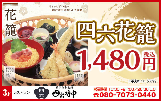 四六時中様_2508.jpg