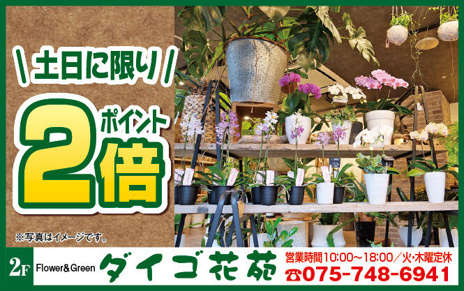 ダイゴ花苑様_2508.jpg