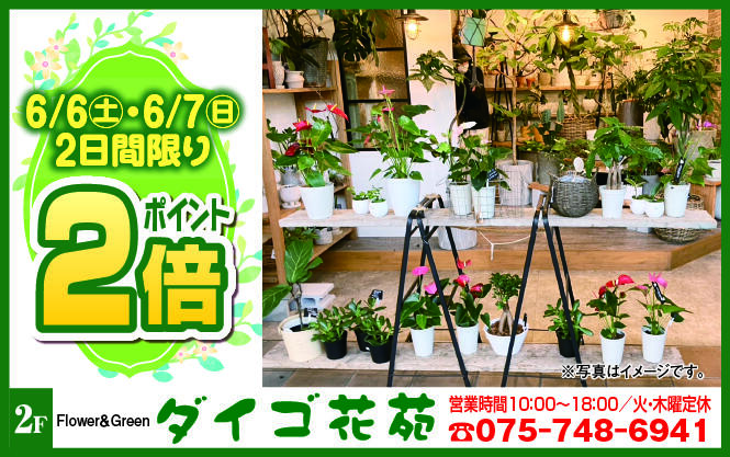 ダイゴ花苑様_2606.jpg