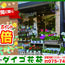 【ダイゴ花苑】土日に限り ポイント2倍！