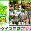 【ダイゴ花苑】土日限定 ポイント2倍！